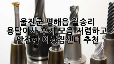 울진군 평해읍 월송리 용달이사 후기 모음: 저렴하고 안전한 이삿짐센터 추천