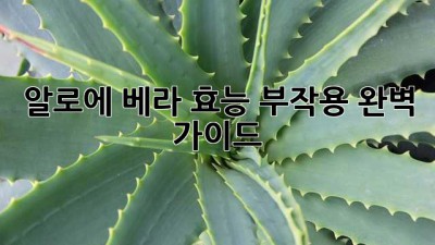 알로에 베라 효능, 부작용 완벽 가이드